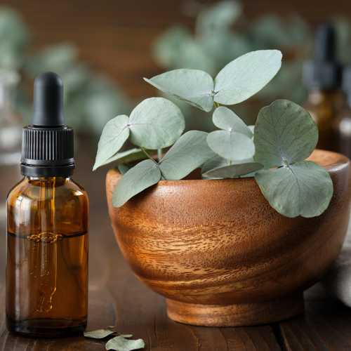 Eucalyptus Aromatherapy Candle - Decorative Candle for Home Decor and Ornaments